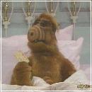 15(11) (352x288, 15 k�...)