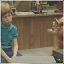 15(2) (320x240, 12 k�...)