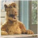 15(9) (352x288, 17 k�...)