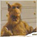 15 (400x300, 15 k�...)