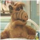 17(4) (352x288, 16 k�...)