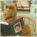 17(6) (352x288, 16 k�...)