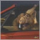 18(7) (352x288, 11 k�...)