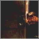 19(1) (280x210, 4 k�...)