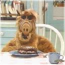 19(8) (352x288, 18 k�...)