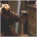 20(1) (280x210, 8 k�...)