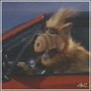 20(5) (352x288, 11 k�...)