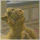 20 (704x576, 57 k�...)