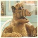 21(4) (352x288, 16 k�...)