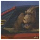 21(6) (352x288, 10 k�...)