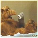 22(2) (352x288, 13 k�...)