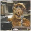 22(7) (352x288, 17 k�...)