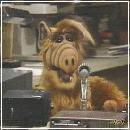 23(7) (352x288, 17 k�...)