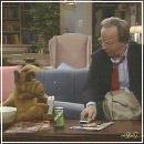 24(9) (352x288, 17 k�...)