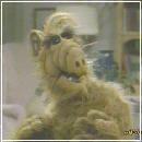 24 (400x300, 14 k�...)