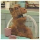 25(5) (352x288, 13 k�...)