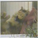 25 (400x300, 16 k�...)