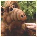 26(1) (280x210, 10 k�...)