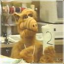 26(3) (352x288, 16 k�...)