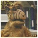 26(7) (352x288, 15 k�...)