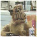 26 (400x300, 18 k�...)