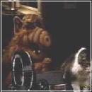 27(1) (280x210, 7 k�...)