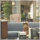 27(8) (352x288, 18 k�...)