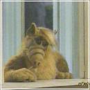 27 (704x576, 57 k�...)