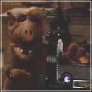 28(1) (280x210, 7 k�...)