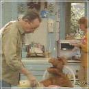 28(5) (352x288, 16 k�...)