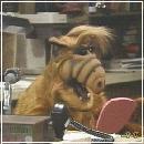 28(7) (352x288, 17 k�...)