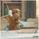 29(3) (352x288, 17 k�...)