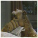 29 (400x300, 12 k�...)