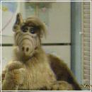 2e (400x300, 16 k�...)