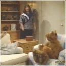 30(1) (352x288, 17 k�...)