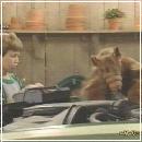 30(5) (352x288, 15 k�...)