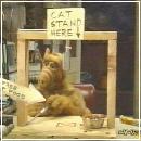 31(1) (352x288, 18 k�...)