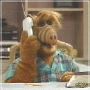 31(2) (352x288, 16 k�...)