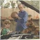 31(4) (352x288, 18 k�...)