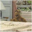 31(6) (352x288, 18 k�...)