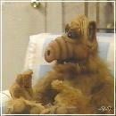 31 (352x288, 13 k�...)