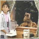 32(5) (352x288, 21 k�...)