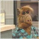 33(1) (352x288, 16 k�...)