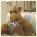 33 (352x288, 13 k�...)