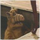 34(5) (352x288, 14 k�...)