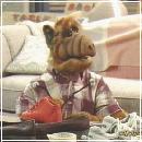 35(1) (352x288, 18 k�...)