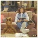 37 (352x288, 17 k�...)