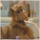 3d (352x288, 14 k�...)