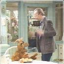 40(1) (352x288, 18 k�...)