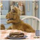 401 (352x288, 16 k�...)